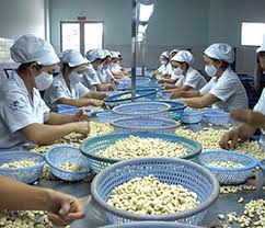 che-bien-nong-san-135491.jpg