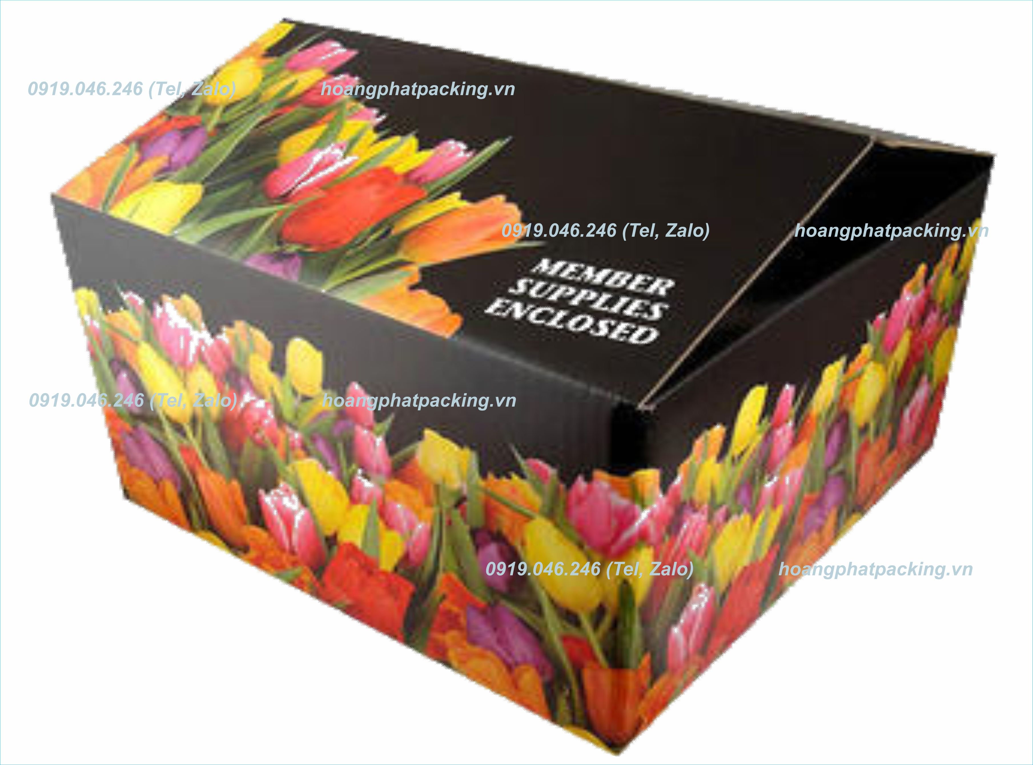 chi_nhanh_nghe_an_cong_ty_tnhh_san_xuat_thuong_mai_bao_bi_hoang_phat_376mzB91.jpg