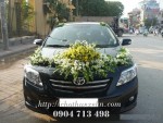 cho-thue-xe-cuoi-33935.jpg