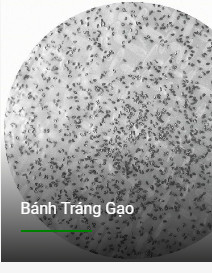 co_so_banh_trang_muoi_nhu_binh_99hl3887.jpg