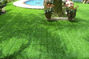 cong_ty_co_phan_afd_grass_viet_nam_73g9i407.jpg