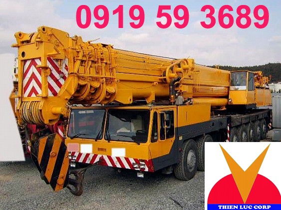 cong_ty_co_phan_cong_nghiep_nang_thien_luc_476zk842.jpg
