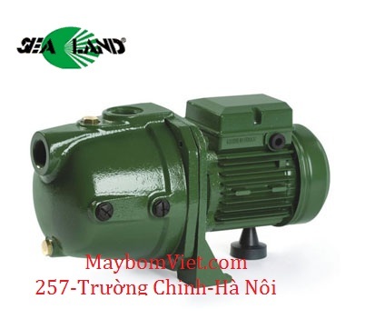 cong_ty_co_phan_dau_tu_thuong_mai_va_dich_vu_tong_hop_hung_nhung_17B322Q5.jpg