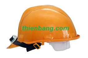 cong_ty_co_phan_dau_tu_va_thuong_mai_thien_bang_51g2659Z.jpg