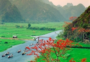 cong_ty_co_phan_dich_vu_du_lich_a_viet_815b5sj1.jpg