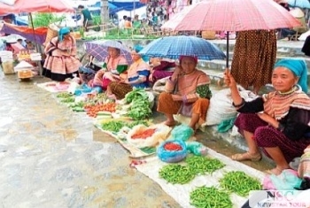 cong_ty_co_phan_dich_vu_du_lich_a_viet_8181pnn6.jpg