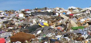 Hợp chất sinh học xử lý rác thải và nước rỉ rác – Rydall OE