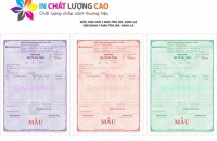 cong_ty_co_phan_in_chat_luong_cao_viet_nam_02880o93.jpg