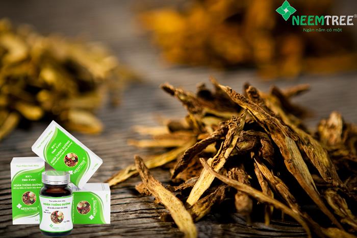 cong_ty_co_phan_neemtree_46mn5s39.jpg