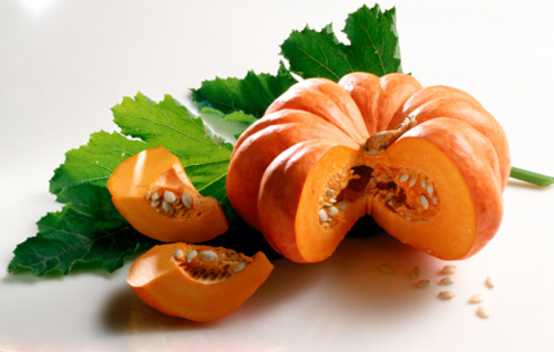 cong_ty_co_phan_nong_nghiep_xanh_mien_bac_60pueMWN.jpg