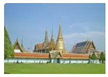 cong_ty_co_phan_phat_trien_thuong_mai_du_lich_quoc_te_ngoi_sao_5827815P.jpg