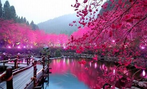 cong_ty_co_phan_quoc_te_trai_nghiem_moi_91c9497P.jpg