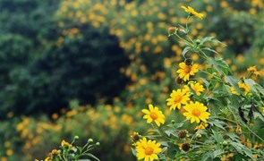 cong_ty_co_phan_quoc_te_trai_nghiem_moi_91d3I890.jpg