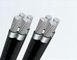 cong_ty_co_phan_tap_doan_cong_nghiep_thien_phu_62p10o81.jpg