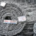 cong_ty_co_phan_thanh_dat_phat_89gmzm00.jpg