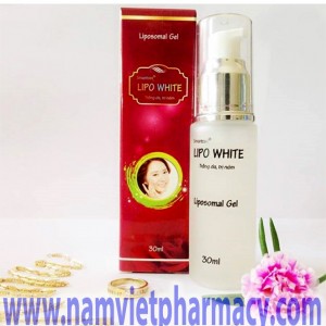 cong_ty_co_phan_thiet_bi_vat_tu_y_te_nam_viet_69jlizF8.jpg