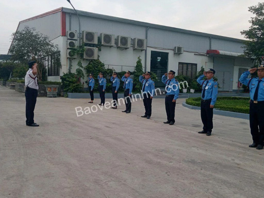 cong_ty_co_phan_thuong_mai_dich_vu_bao_ve_an_ninh_viet_nam_744c127j.jpg