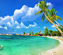 cong_ty_co_phan_tm_du_lich_ngoc_phu_quoc_70jg86qE.jpg