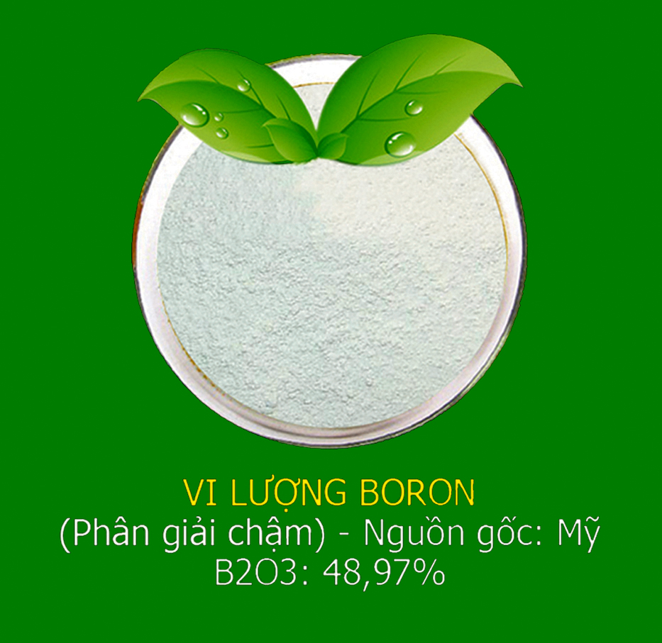 cong_ty_cp_cong_nong_nghiep_tien_nong_29w594R8.jpg
