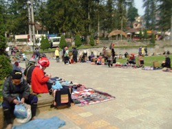 cong_ty_du_lich_hoa_sen_chau_a_12282582.jpg