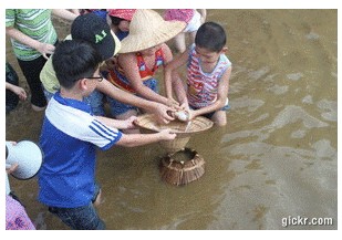 cong_ty_tnhh_atc_viet_nam_trang_trai_dong_que_ba_vi_06sjRESE.jpg