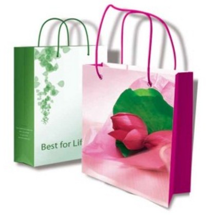 cong_ty_tnhh_bao_bi_giay_nam_viet_525q3982.jpg