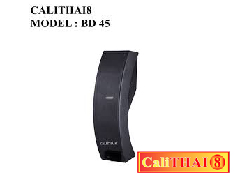 CALITHAI8 MODEL: BD 45