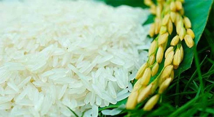 cong_ty_tnhh_co_khi_va_nong_san_truong_phat_96683gkx.jpg