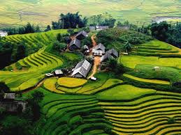 cong_ty_tnhh_cong_nghe_thiet_bi_nang_luong_830guo41.jpg