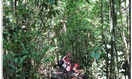 cong_ty_tnhh_da_ngoai_xanh_76cK18N7.jpg