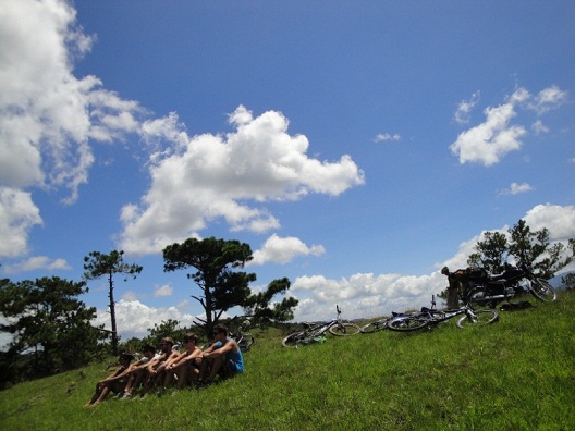 cong_ty_tnhh_da_ngoai_xanh_76f0mj59.jpg
