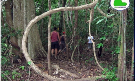 cong_ty_tnhh_da_ngoai_xanh_76fqp597.jpg