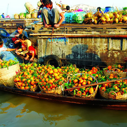 cong_ty_tnhh_dana_ban_500cb595.jpg