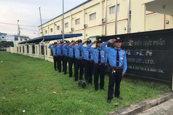 cong_ty_tnhh_dich_vu_bao_ve_trung_viet_78z6242v.jpg