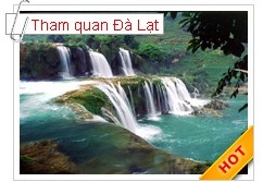 cong_ty_tnhh_dich_vu_du_lich_dat_vo_41a8cBB5.jpg
