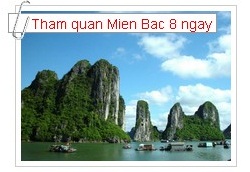 cong_ty_tnhh_dich_vu_du_lich_dat_vo_41h9XO42.jpg