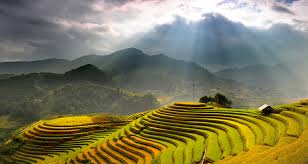cong_ty_tnhh_dich_vu_du_lich_gao_giong_72uam40H.jpg
