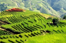 cong_ty_tnhh_dich_vu_du_lich_thuong_mai_kmk_34sp2pVY.jpg