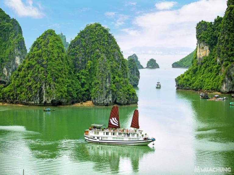 cong_ty_tnhh_dich_vu_du_lich_viet_top_87drpoxd.jpg