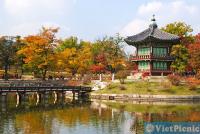 cong_ty_tnhh_dich_vu_lhqt_viet_picnic_46uj4753.jpg