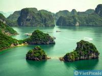 cong_ty_tnhh_dich_vu_lhqt_viet_picnic_46zf2584.jpg