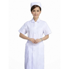 cong_ty_tnhh_dich_vu_thuong_mai_va_xuat_nhap_khau_thanh_huy_058b7m5s.jpg