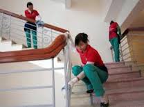 cong_ty_tnhh_dich_vu_ve_sinh_cong_nghiep_thanh_phat_089u8kdg.jpg