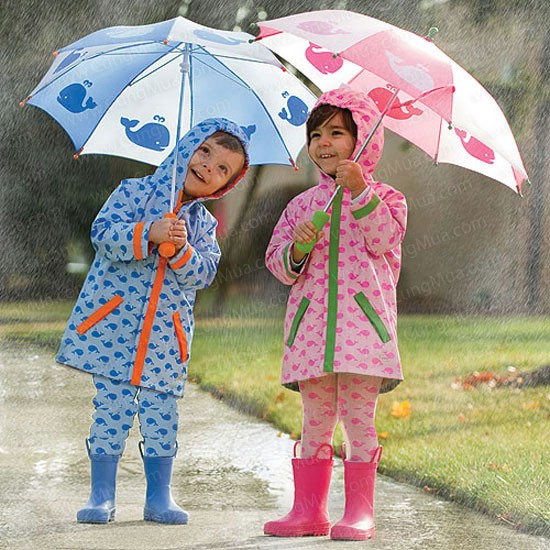 cong_ty_tnhh_dien_nhat_phuong_98g1pc75.jpg