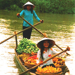 cong_ty_tnhh_du_lich_bau_troi_viet_4469LZ8G.jpg
