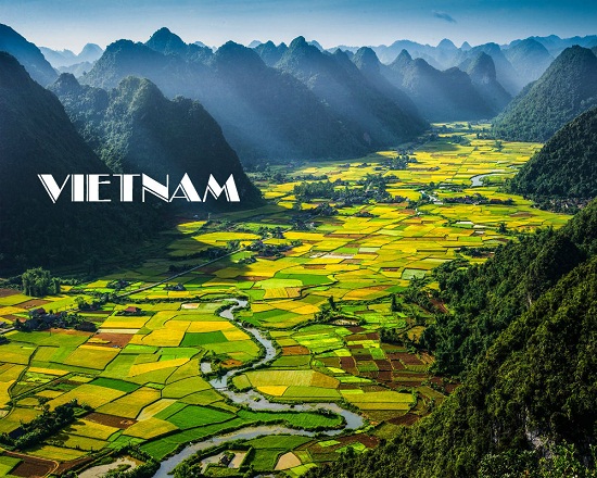 cong_ty_tnhh_du_lich_dich_vu_dong_duong_6738xs30.jpg