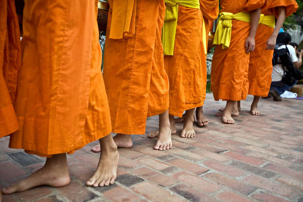 cong_ty_tnhh_du_lich_dich_vu_dong_duong_67bj2pxM.jpg