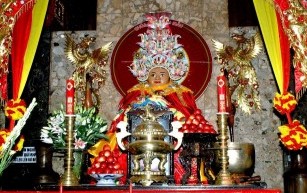 cong_ty_tnhh_du_lich_hoa_phuong_tim_09w28zco.jpg