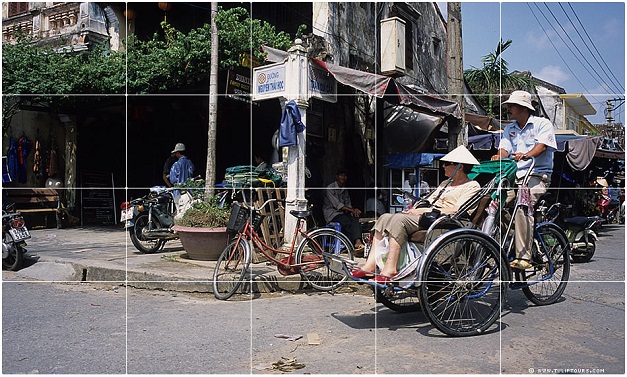 cong_ty_tnhh_du_lich_hoa_tulip_viet_nam_133vsp2L.jpg