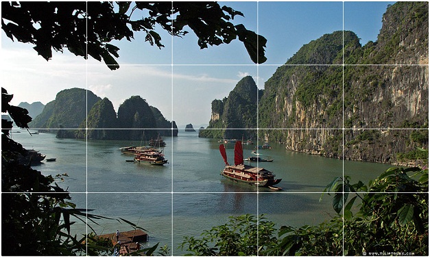 cong_ty_tnhh_du_lich_hoa_tulip_viet_nam_79731P50.jpg